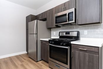 Gas range stove